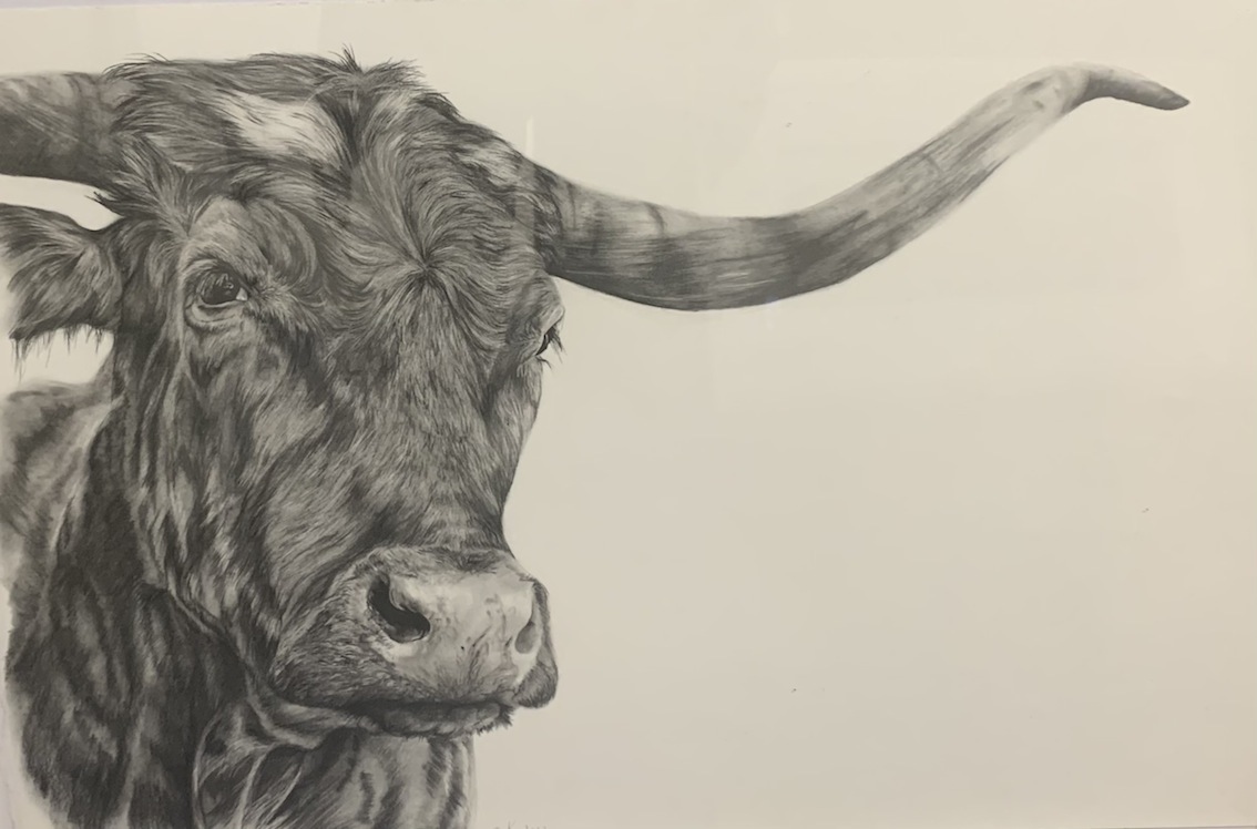 Ashley Knox | Longview| McATamney Gallery and Design Store | Geraldine NZ